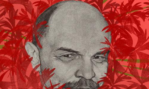 Врач рассказал, что ученые нашли в мозге Ленина при его исследовании